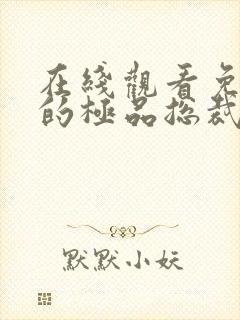 在线观看免费我的极品总裁老婆短剧