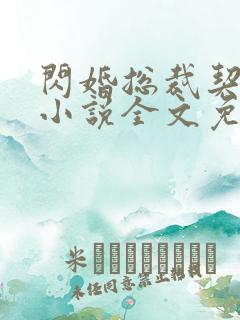 闪婚总裁契约妻小说全文免费