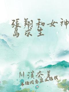 张翔和女神的荒岛求生