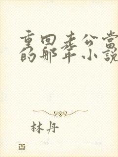 重回老公当校草的那年小说