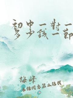 初中一对一辅导多少钱一节课