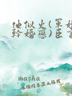 他似火(军婚高干婚恋)臣言最新章节