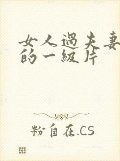 女人过夫妻生活的一级片