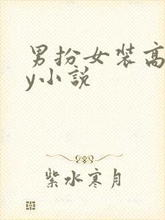 男扮女装高干by小说