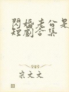 闪婚老公是总裁短剧合集