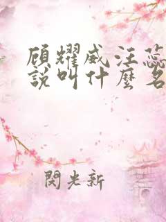 顾耀威汪蕊的小说叫什么名字