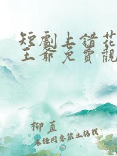 短剧上错花轿嫁王爷免费观看