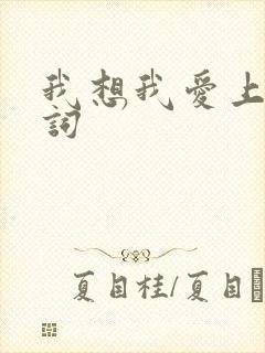 我想我爱上你歌词