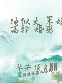 他似火 军婚 高干 婚恋