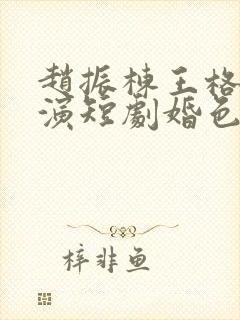 赵振栋王格格主演短剧婚色烟烟