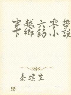 穿越六零带妹妹下乡的小说