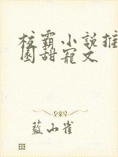 校霸小说推荐校园甜宠文