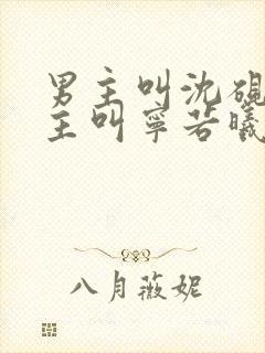 男主叫沈砚舟女主叫宁若曦的小说