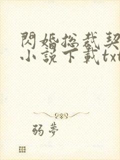 闪婚总裁契约妻小说下载txt