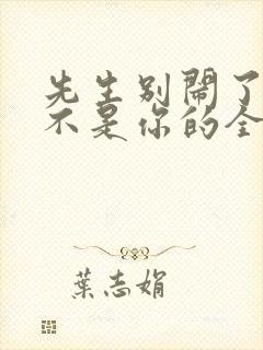 先生别闹了新娘不是你的全集免费观看