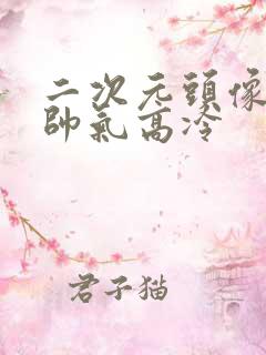 二次元头像男生帅气高冷