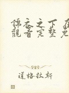 锦衣之下 在线观看完整免费