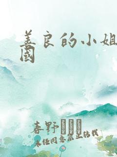 善良的小姐姐韩国