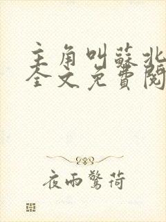 主角叫苏北小说全文免费阅读