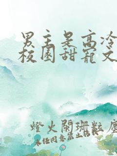 男主是高冷校草校园甜宠文