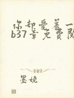 你却爱着一个sb37章免费阅读