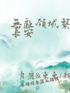 无敌领域系统陈长安