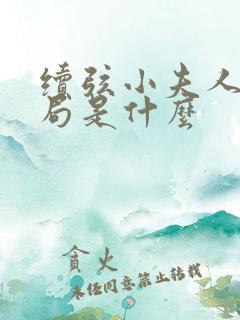 续弦小夫人大结局是什么