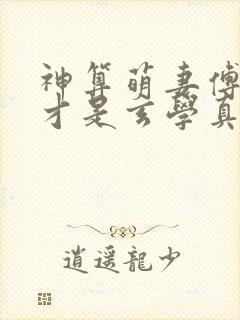 神算萌妻傅太太才是玄学真大佬怎么样