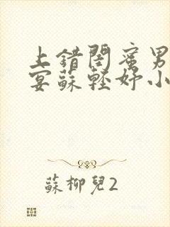 上错闺蜜男友沈宴苏轻妤小说叫什么