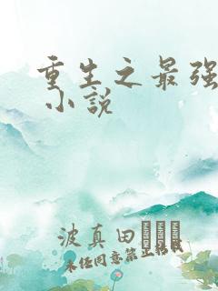 重生之最强大亨 小说