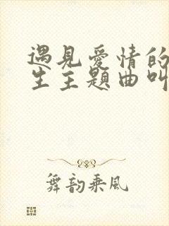 遇见爱情的利先生主题曲叫什么