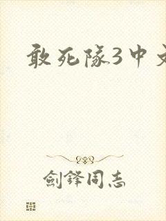 敢死队3中文版