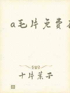 a毛片免费在线