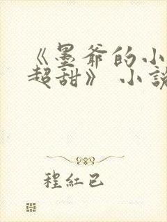 《墨爷的小萌妻超甜》 小说