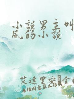 小说男主叫沈南风的小说