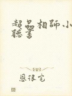 超品相师小说 听书