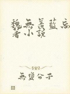 魏无羡蓝忘机原著小说