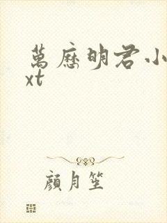 万历明君小说txt