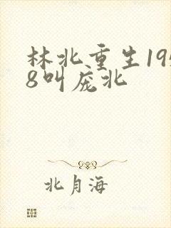 林北重生1958叫庞北