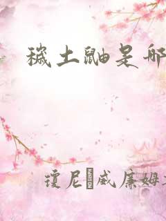 秽土鼬是哪一集