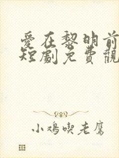 爱在黎明前升起短剧免费观看完整版