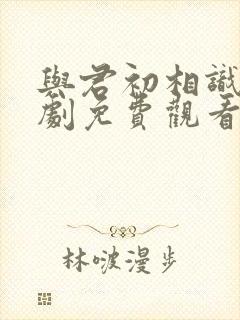 与君初相识电视剧免费观看全集