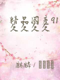 精品国产91久久久久久