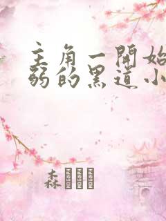 主角一开始很懦弱的黑道小说