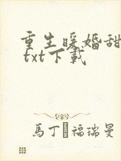 重生暖婚甜入骨 txt下载