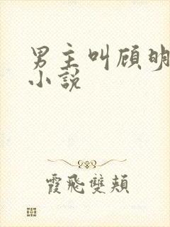 男主叫顾明哲的小说