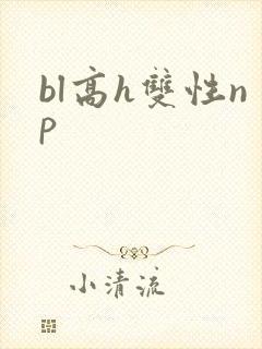 bl高h双性np