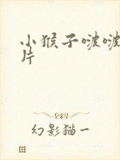 小猴子啵啵动画片