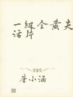 一级全黄夫妻生活片