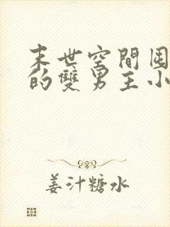 末世空间囤物资的双男主小说